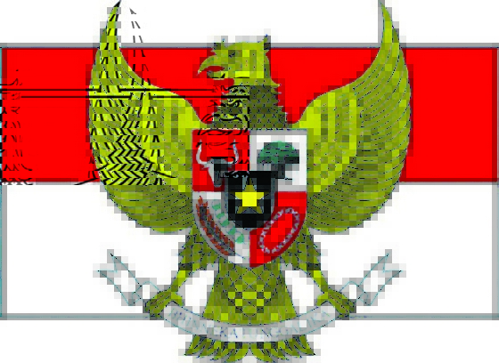 أندونيسيا 17 يناير 2013