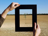 A Critique of Abrogation of Rulings