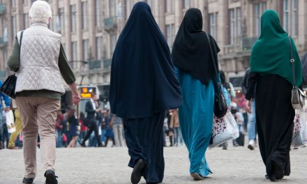 Ngo’s trekken aan alarmbel over islamofobie