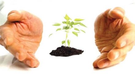 Fatwa: Zakah could be paid to an educational Waqf endowment