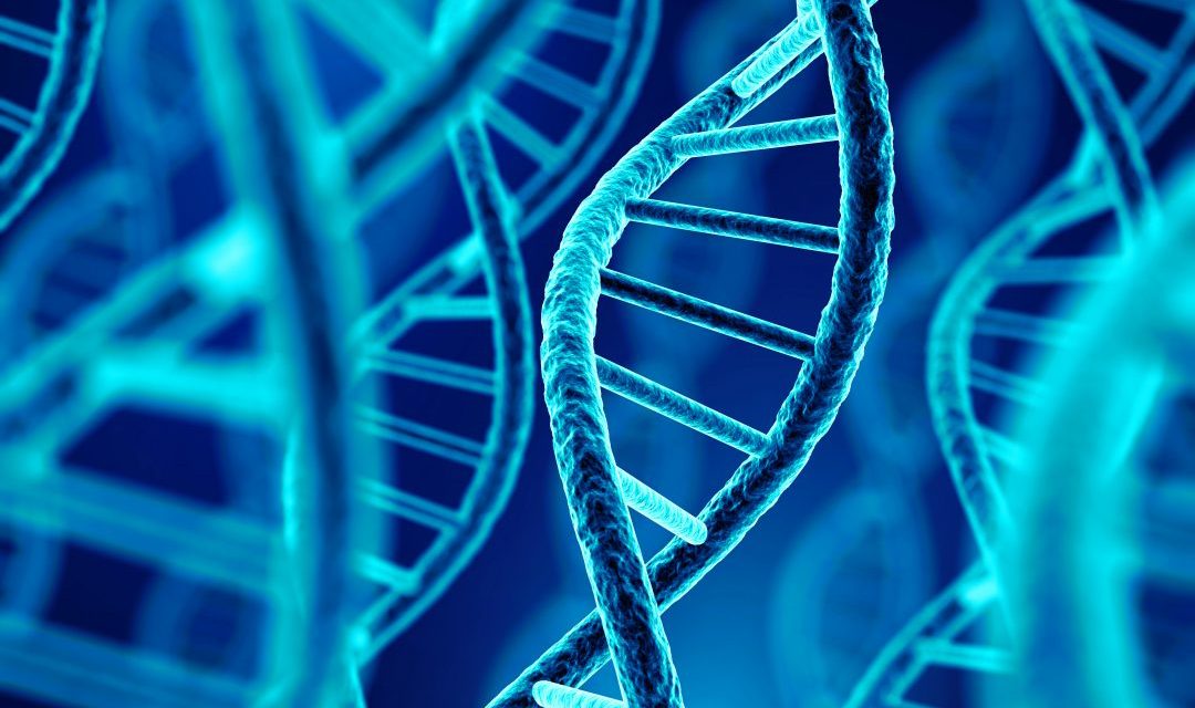 الهندسة الجينية: محاولة لتصحيح الأسئلة الفقهية المطروحة