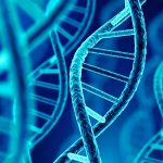 الهندسة الجينية: محاولة لتصحيح الأسئلة الفقهية المطروحة