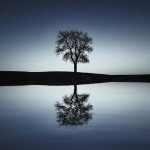 Reflection – A Journey to God 5